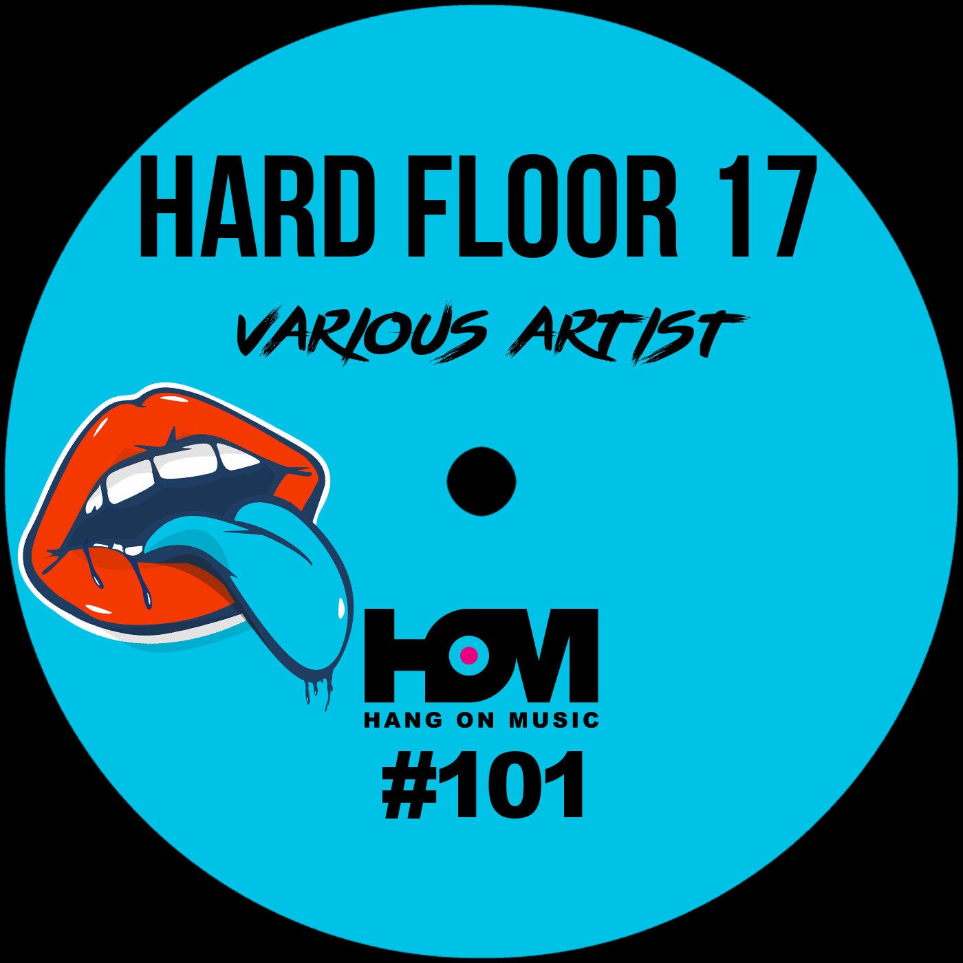 HARD FLOOR 17 [HOM101]